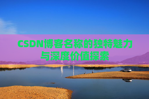 CSDN博客名称的独特魅力与深度价值探索